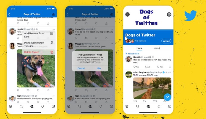 Twitter Adds New Option to Pin Tweets Within Communities