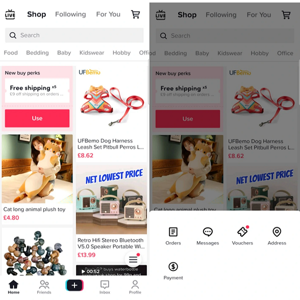 TikTok Tests Dedicated Shopping Feed with Users in Indonesia